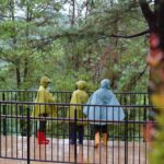 4 Reasons Why Rain is the Best Natural Cleanser