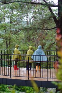 4 Reasons Why Rain is the Best Natural Cleanser