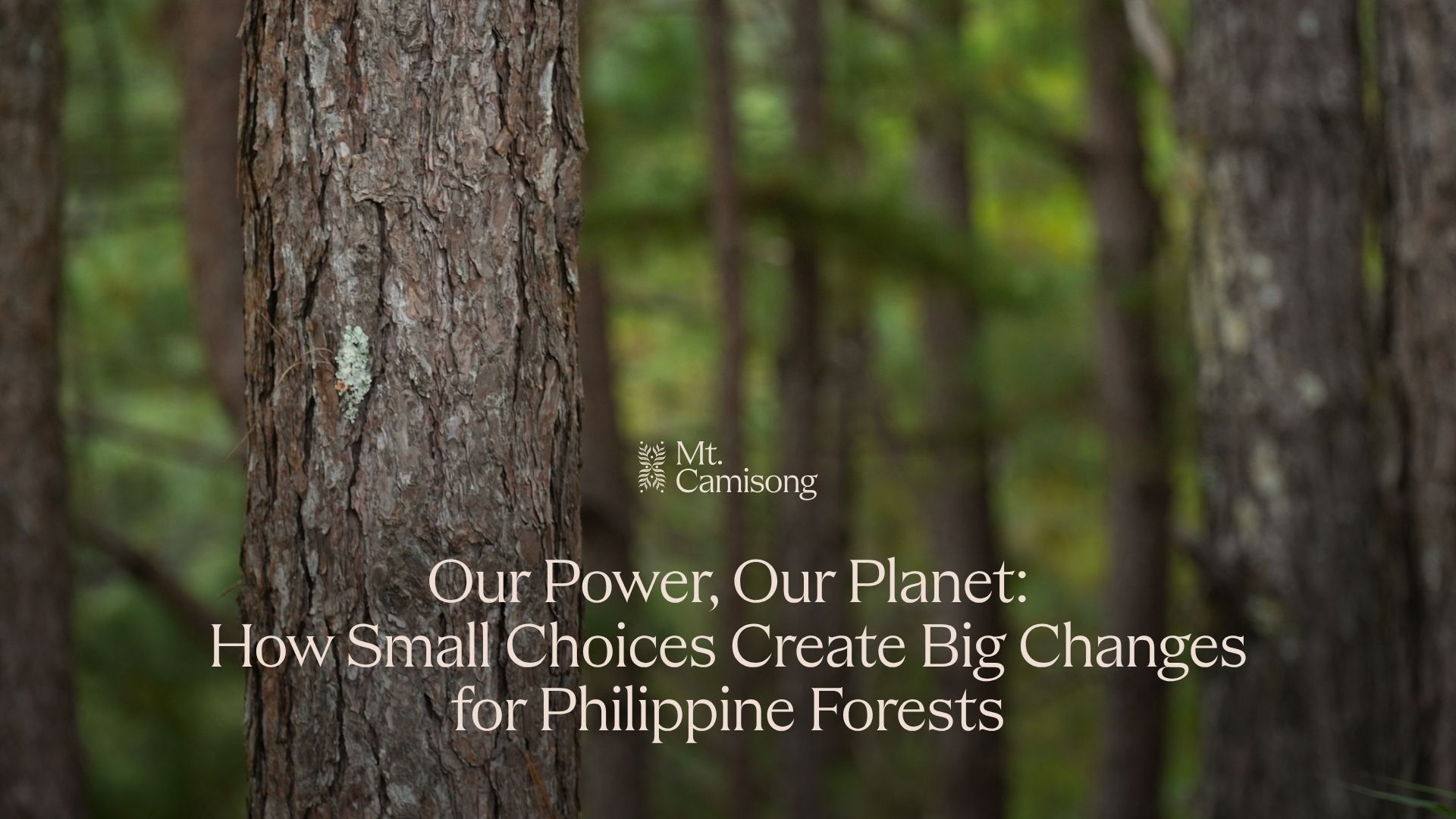 Our Power, Our Planet: How Small Choices Create Big Changes for Philippine Forests