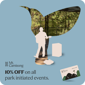Rectangle 87
