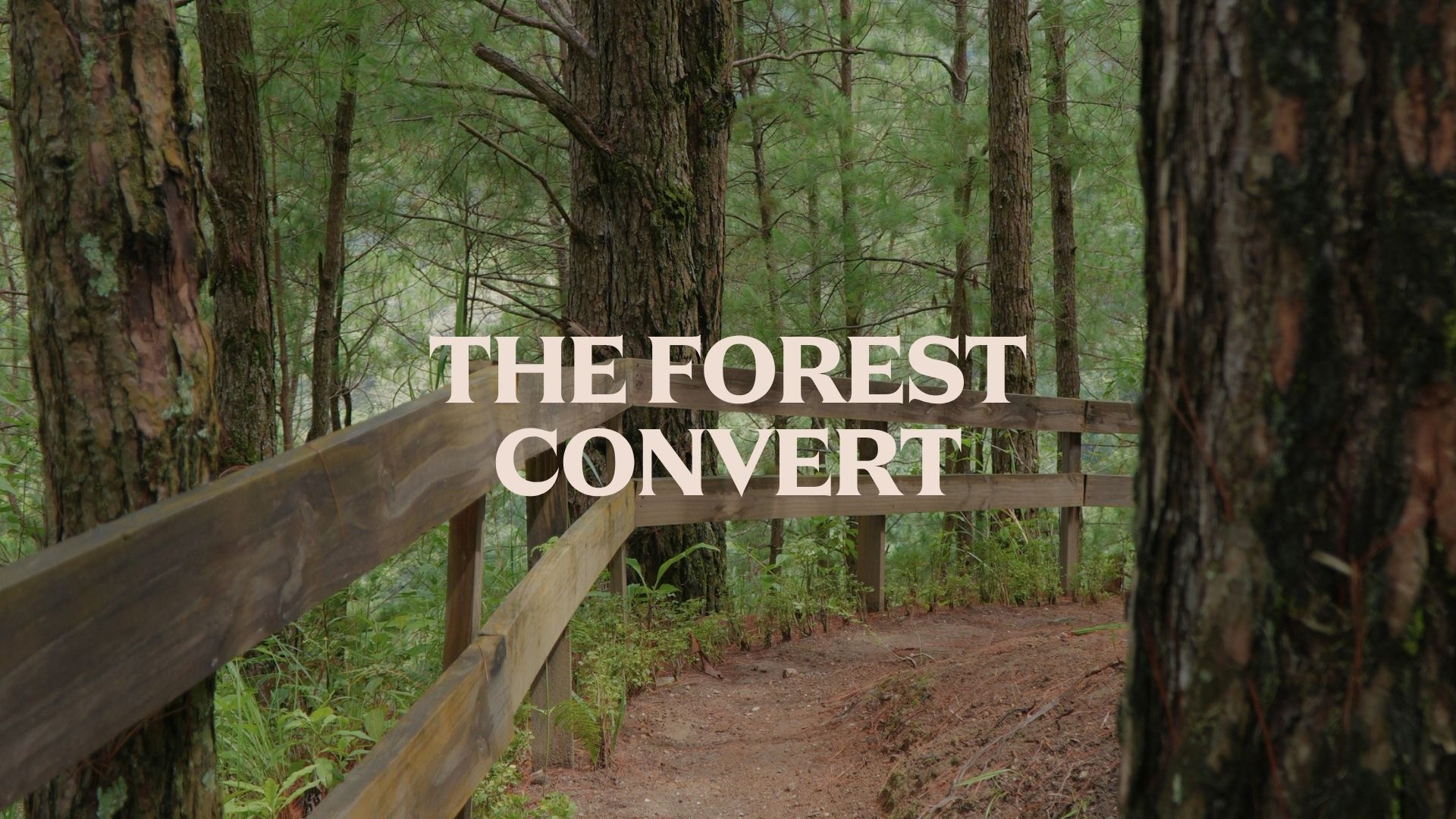 Plastic Free July personality quiz result Forest Convert eco type Philippines