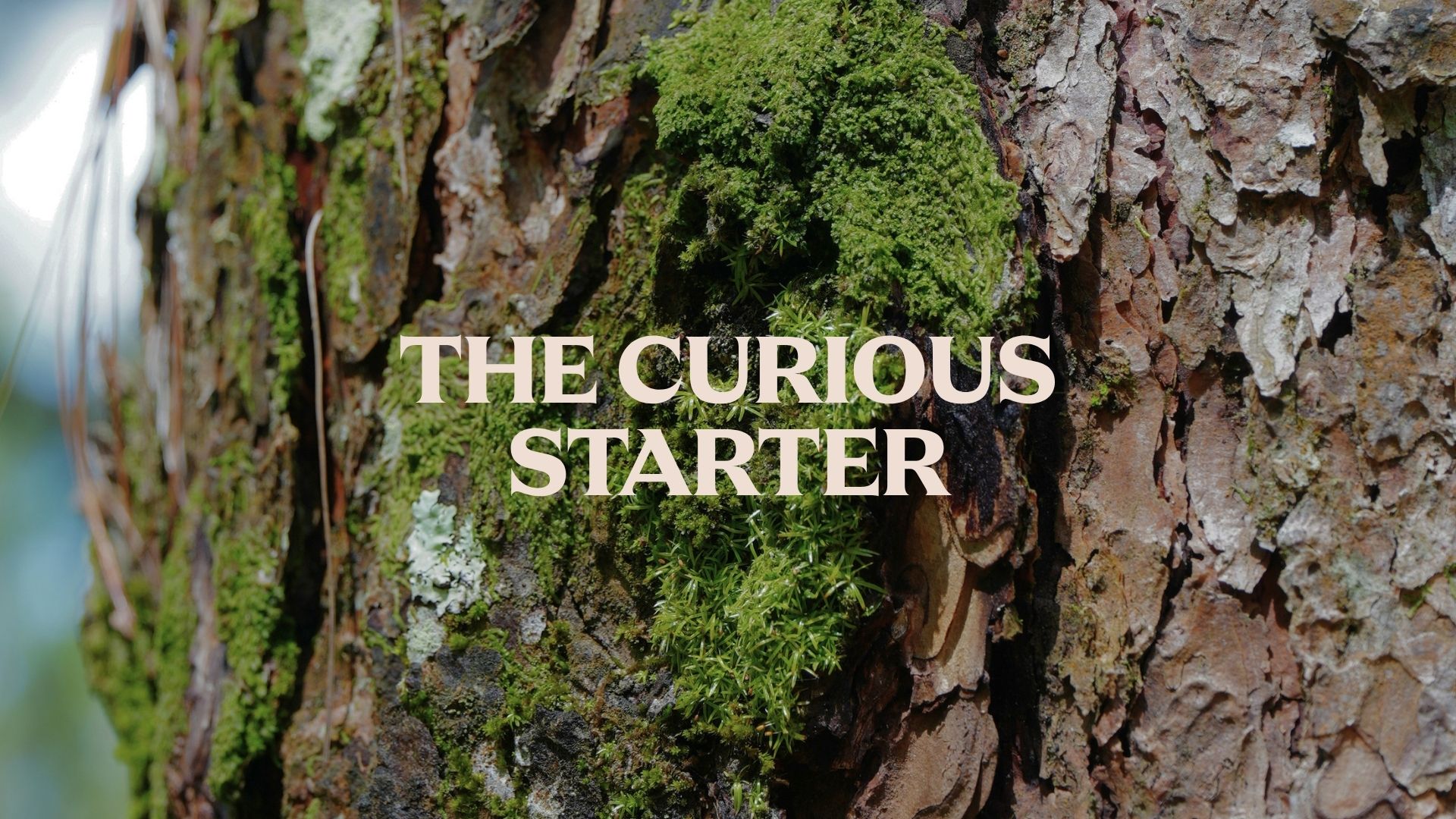 Plastic Free July personality quiz result Curious Starter eco type Philippines