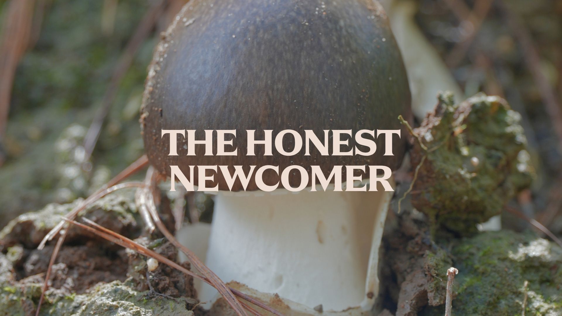 Plastic Free July personality quiz result Honest Newcomer eco type Philippines