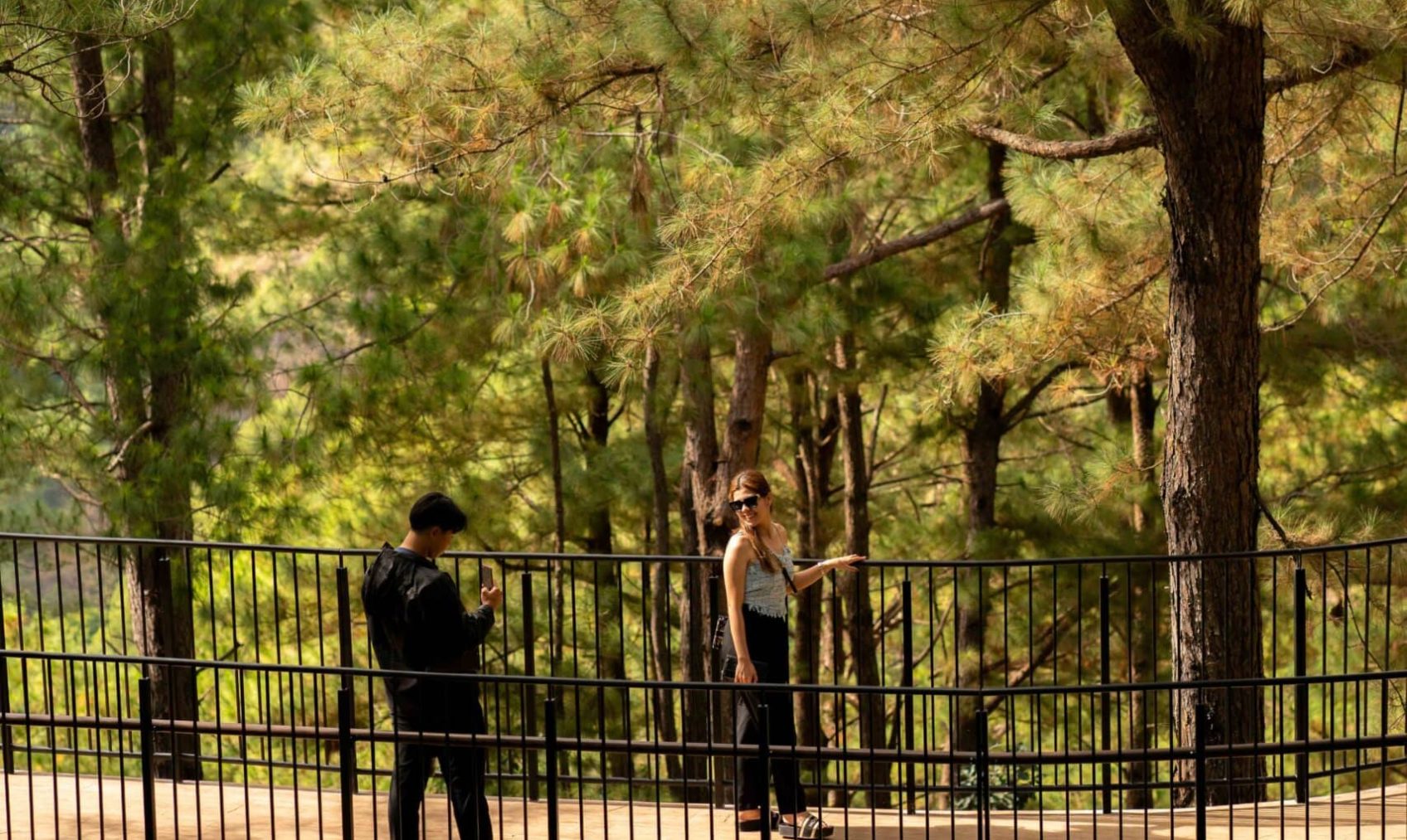 2502 MtC Media Bank A-01020