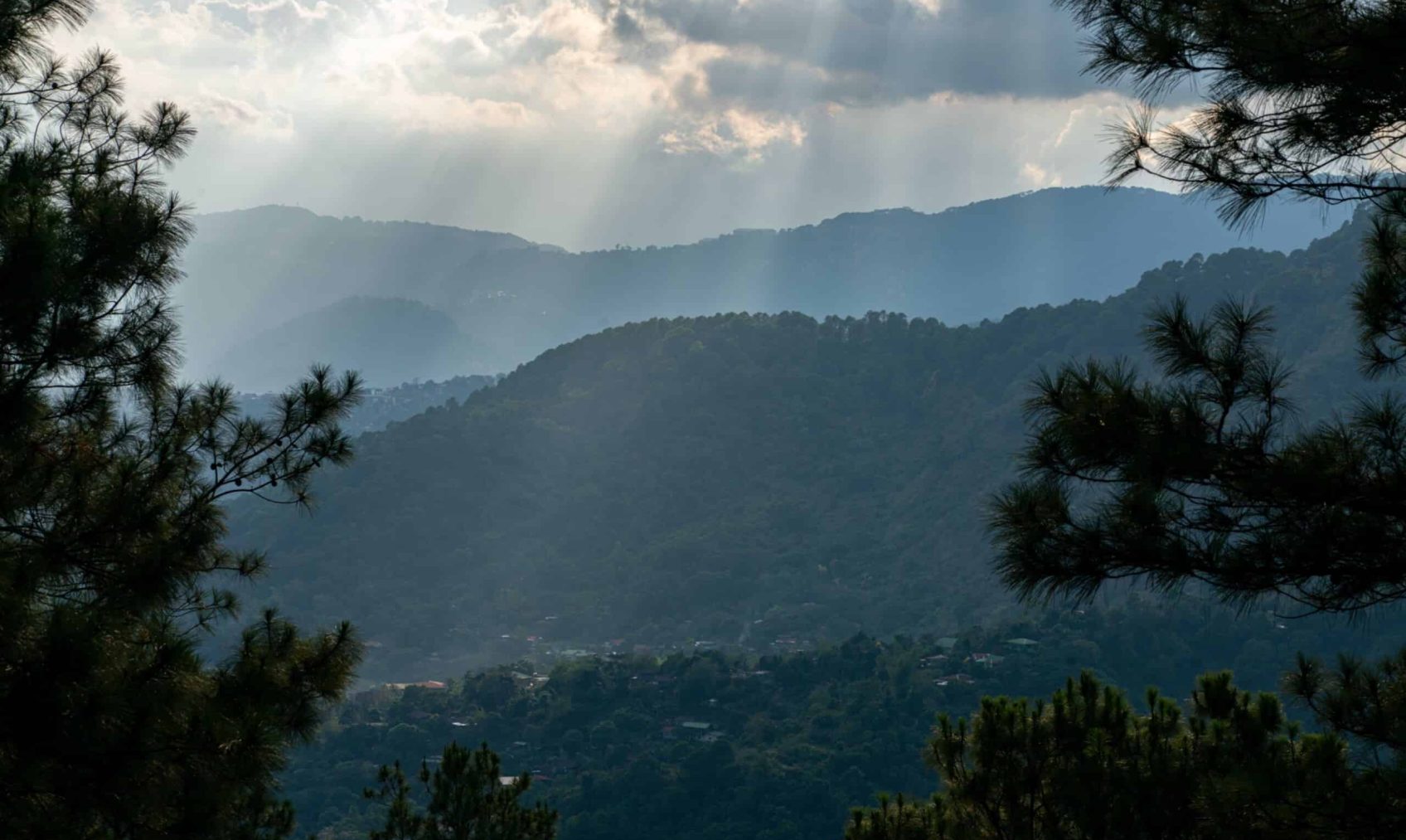 2502 MtC Media Bank A-09869