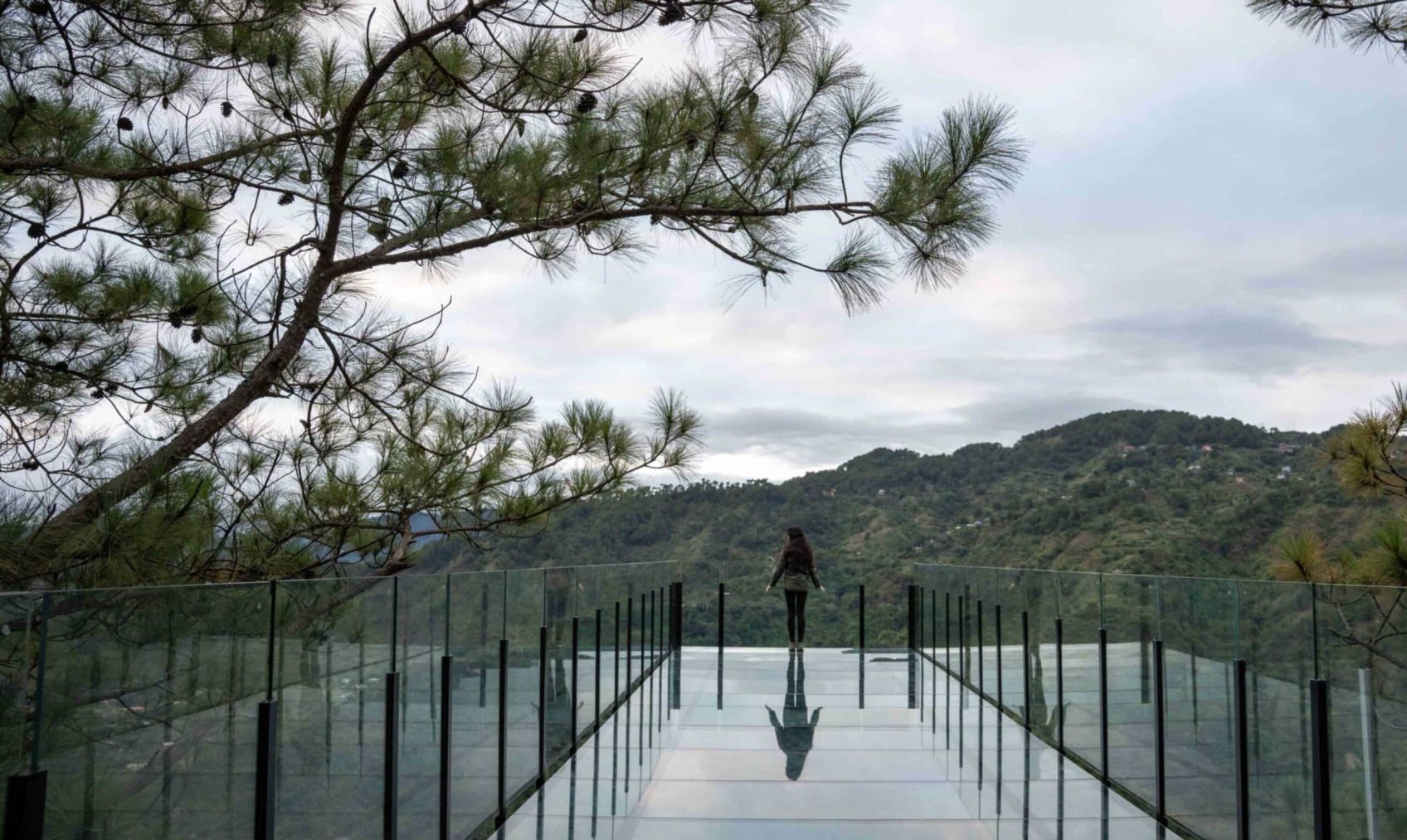 2502 MtC Media Bank B-06346