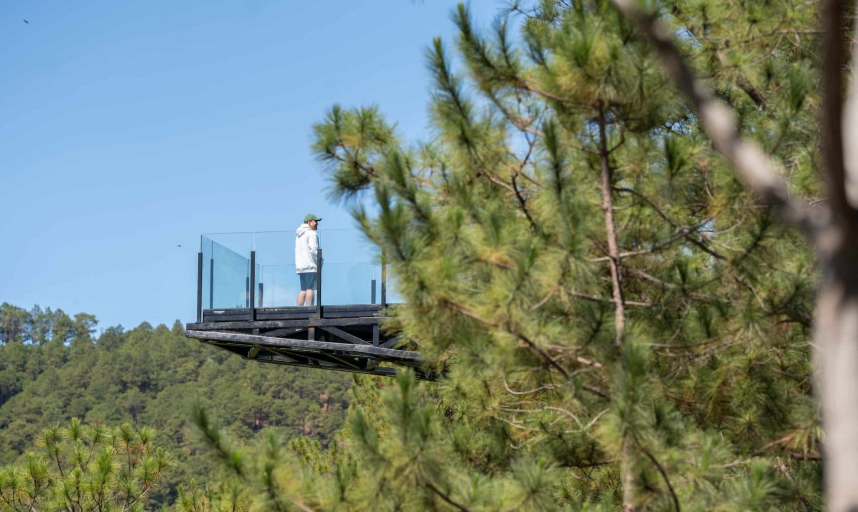 2502 MtC Media Bank B-07612