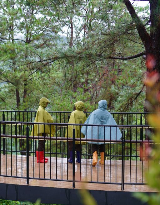 4 Reasons Why Rain is the Best Natural Cleanser