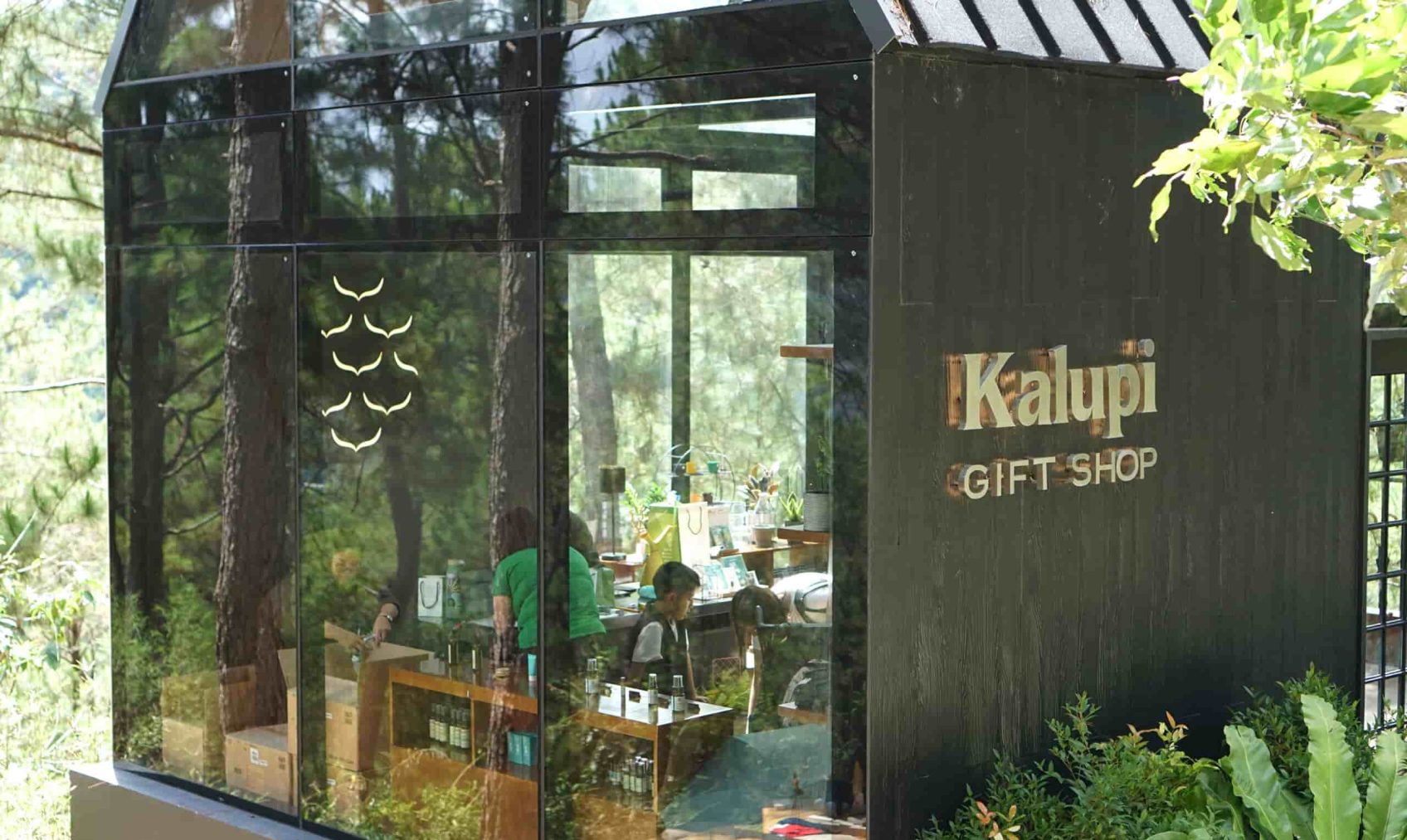 kalupi-03