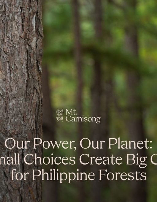 Our Power, Our Planet: How Small Choices Create Big Changes for Philippine Forests