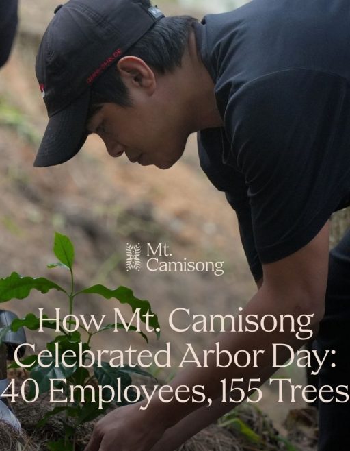 How Mt. Camisong Celebrated Philippine Arbor Day: 40 Employees, 155 Trees