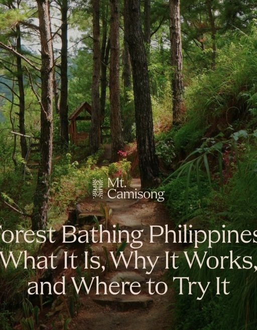 Forest Bathing Philippines: What It Is, Why It Works, and Where to Try It
